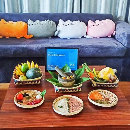 누와라 엘리야 Mount Elegance 아파트 외부 사진